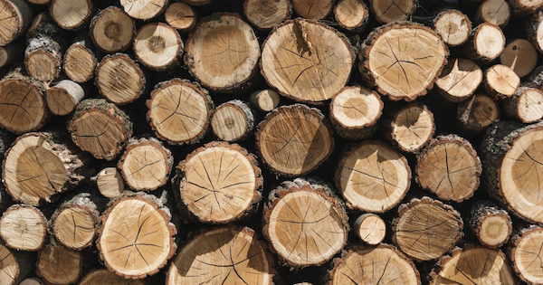 Avviso bando di seconda asta pubblica per la -Vendita di legname di proprietà comunale-